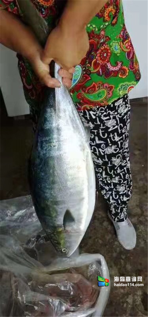 海王九岛星海度假村