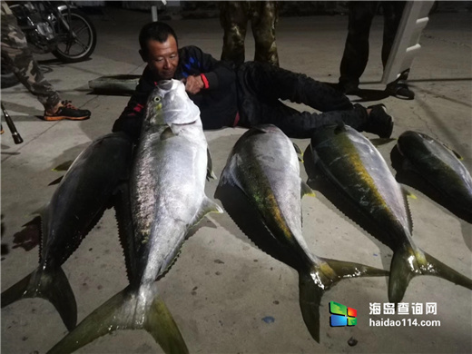 海王九岛星海度假村