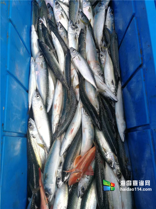 海王九岛星海度假村