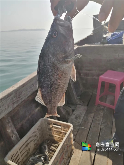 海王九岛星海度假村