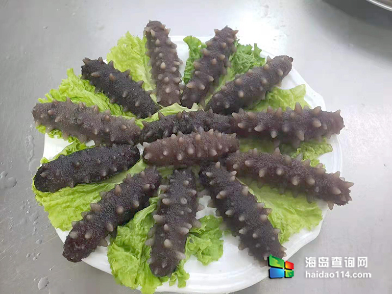 獐子岛有洋红民宿