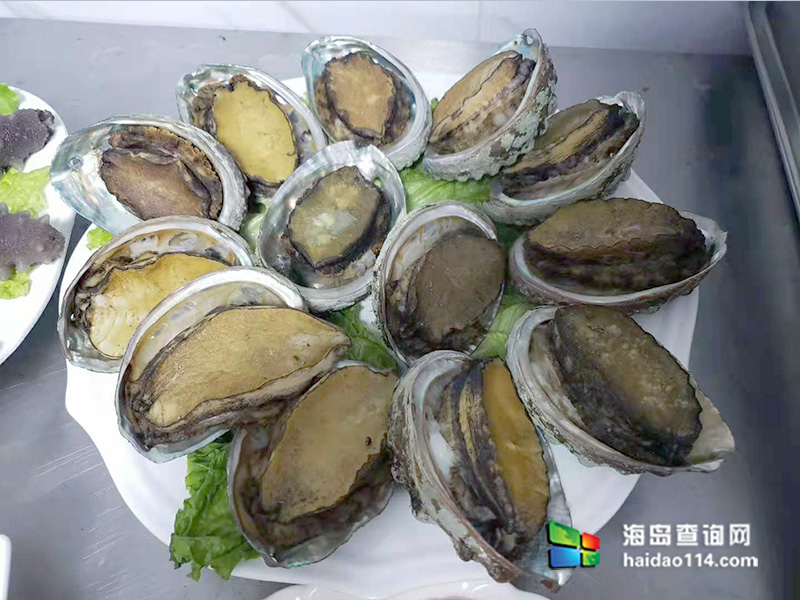 獐子岛有洋红民宿