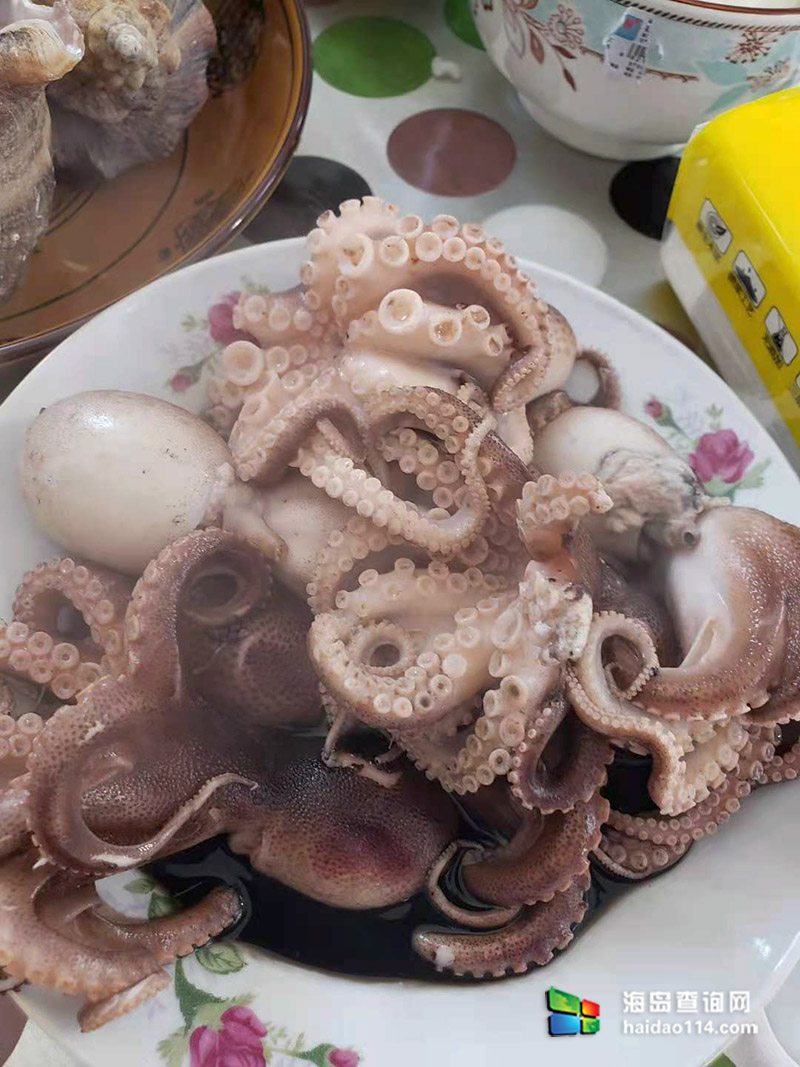 獐子岛有洋红民宿