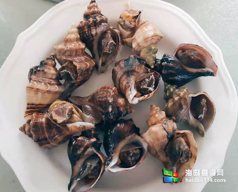 獐子岛有洋红民宿