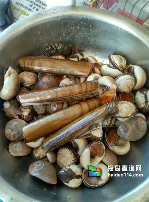 獐子岛有洋红民宿