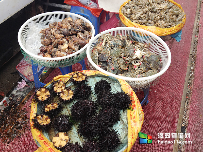 獐子岛有洋红民宿