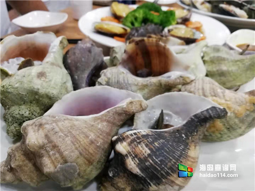 獐子岛有洋红民宿