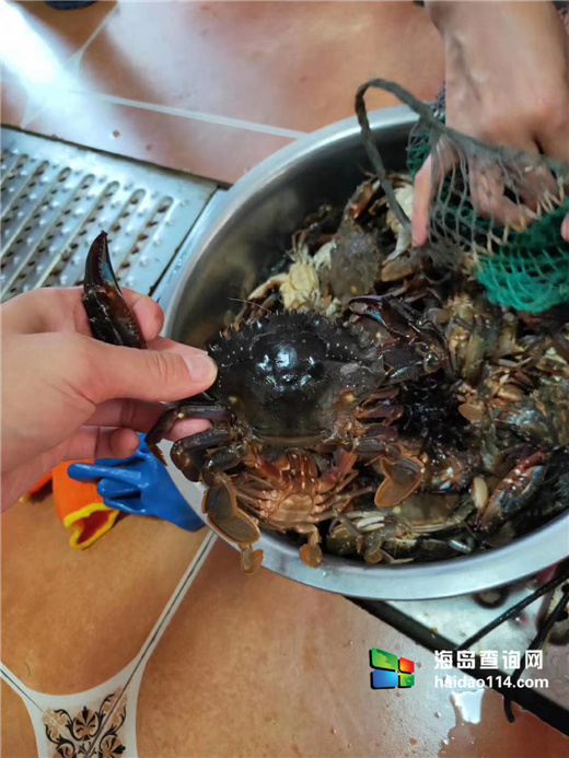 獐子岛有洋红民宿