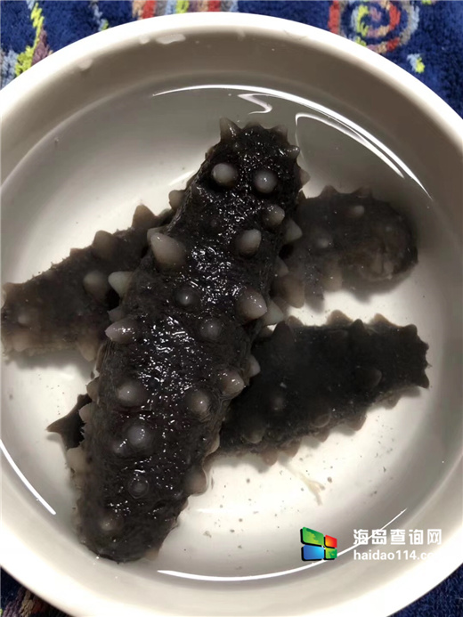 獐子岛有洋红民宿
