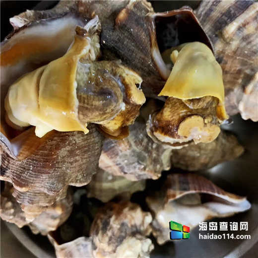 獐子岛有洋红民宿