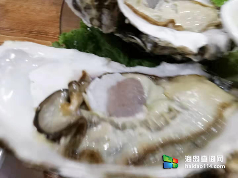 獐子岛有洋红民宿