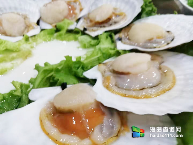 獐子岛有洋红民宿