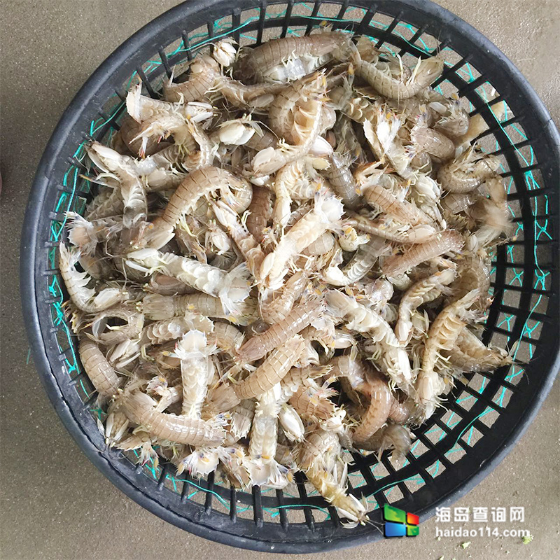 獐子岛有洋红民宿