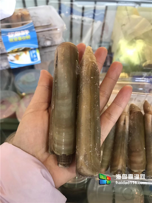 獐子岛有洋红民宿