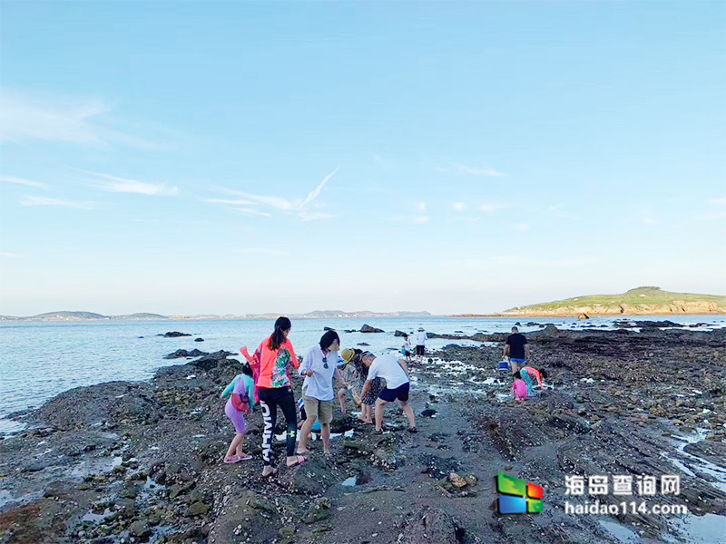獐子岛有洋红民宿