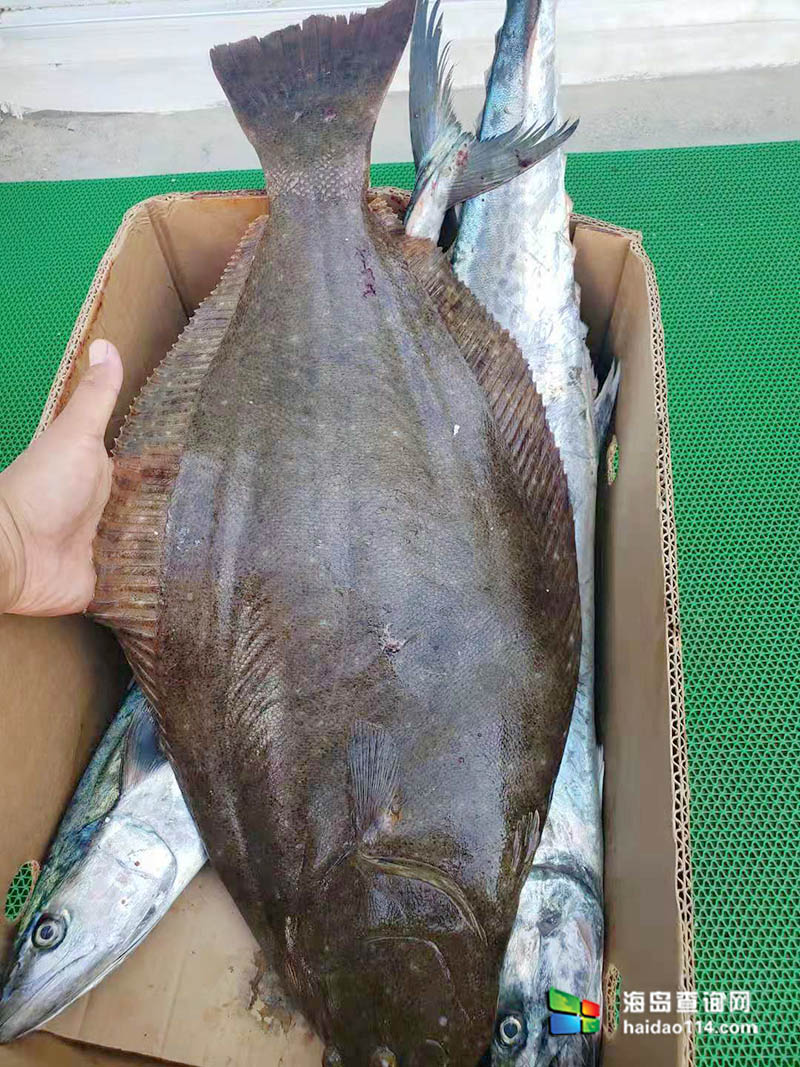 獐子岛有洋红民宿