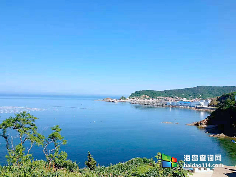 獐子岛有洋红民宿