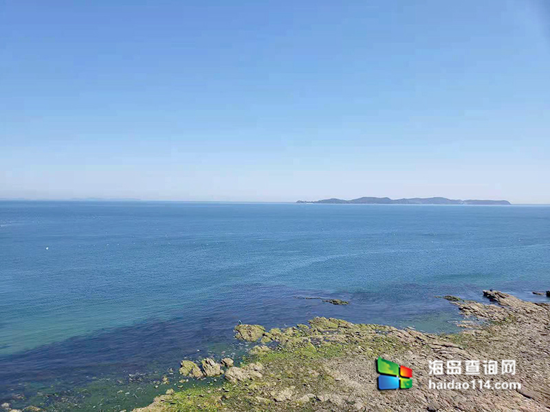 獐子岛有洋红民宿