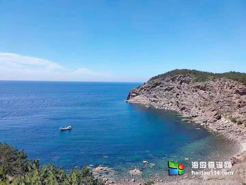 獐子岛有洋红民宿