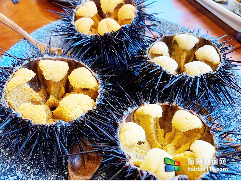 小长山岛日晟民宿酒店