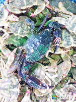 小长山岛银海休闲客栈