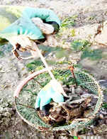 小长山岛银海休闲客栈