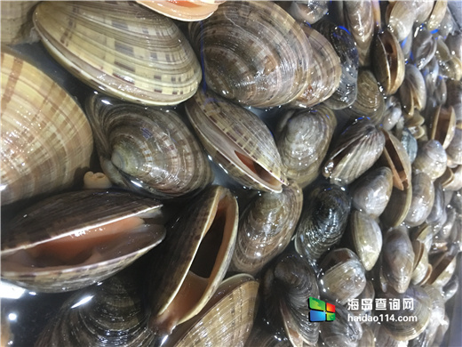 小长山岛银海休闲客栈