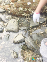小长山岛银海休闲客栈