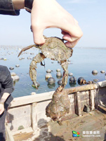 小长山岛银海休闲客栈