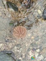 小长山岛银海休闲客栈