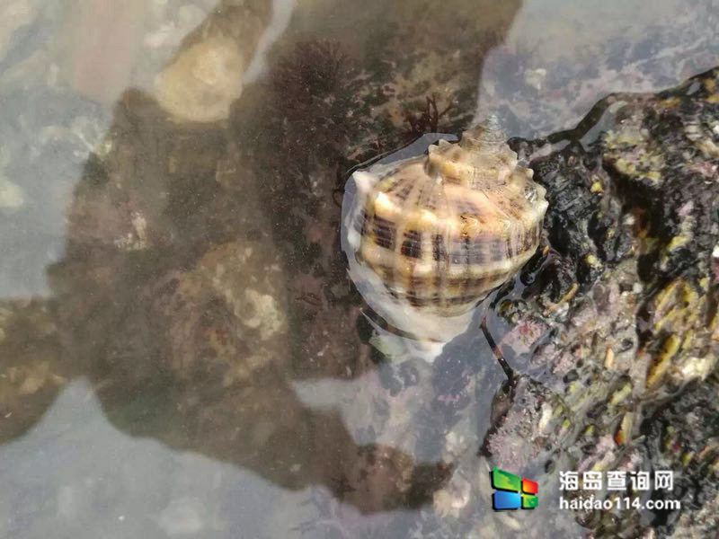 小长山岛银海休闲客栈