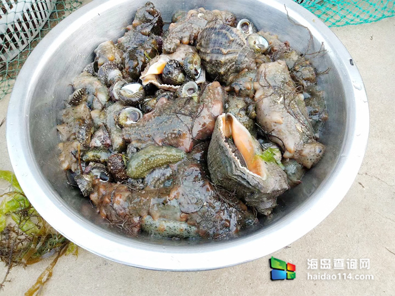 小长山岛银海休闲客栈