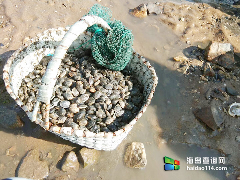 小长山岛银海休闲客栈