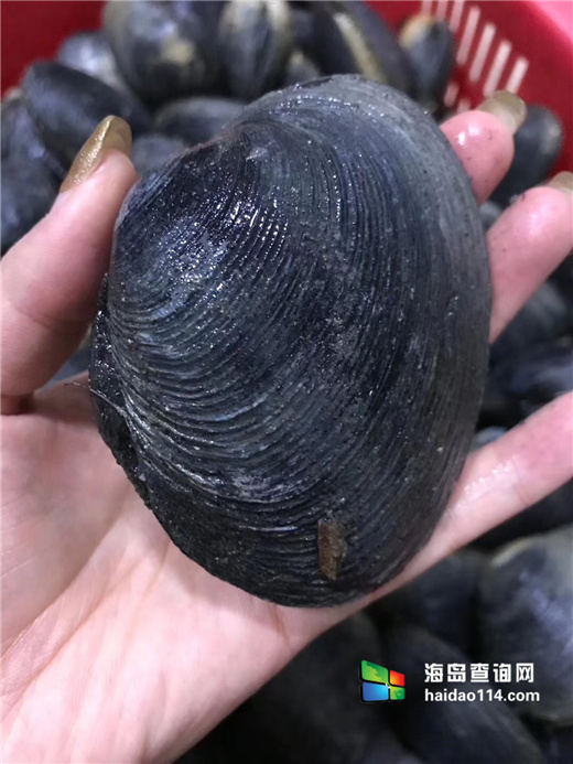 小长山岛银海休闲客栈