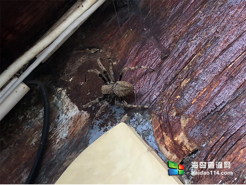 小长山岛老吴家渔子宿 小长山岛老吴家渔子宿