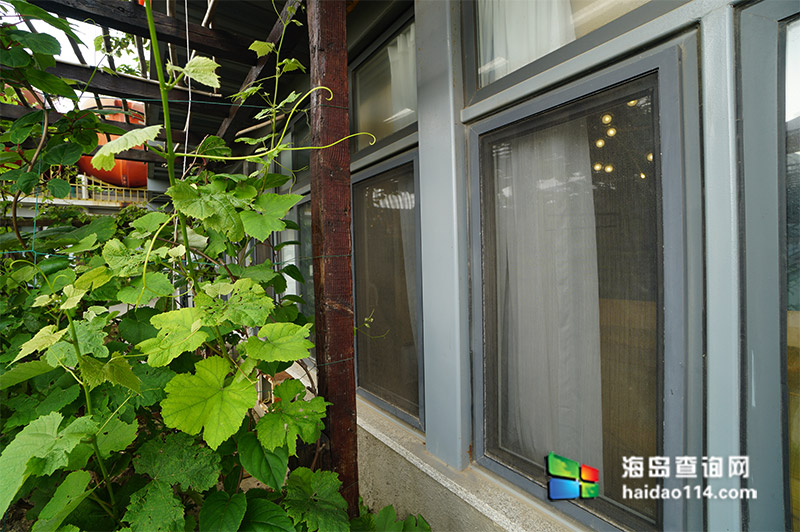 小长山岛老吴家渔子宿 小长山岛老吴家渔子宿