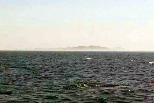 大连长海县格仙岛钓到巨型鲈鱼