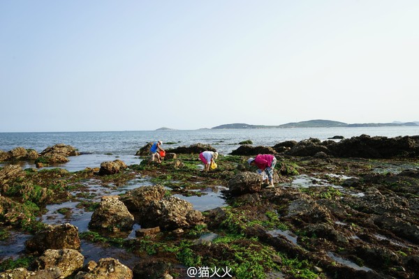 大连格仙岛旅游赶海