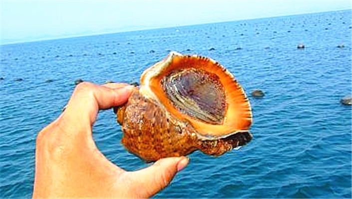 长海县最好的海鲜——格仙岛