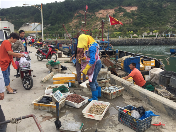 做好广鹿岛旅游攻略再出发