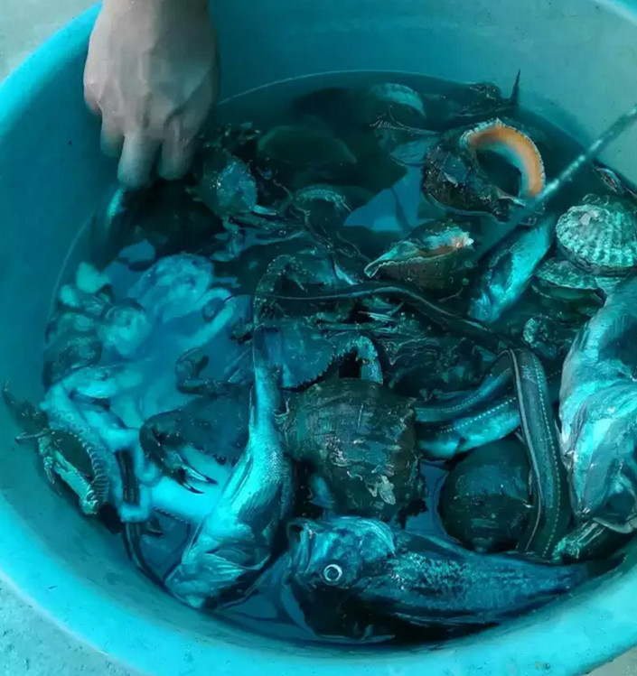 瓜皮岛渔家游出海拔地笼