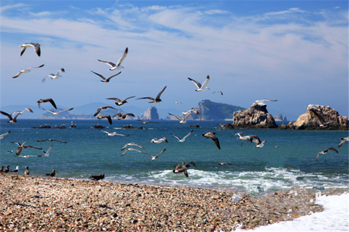 海鸥视线下的海王九岛