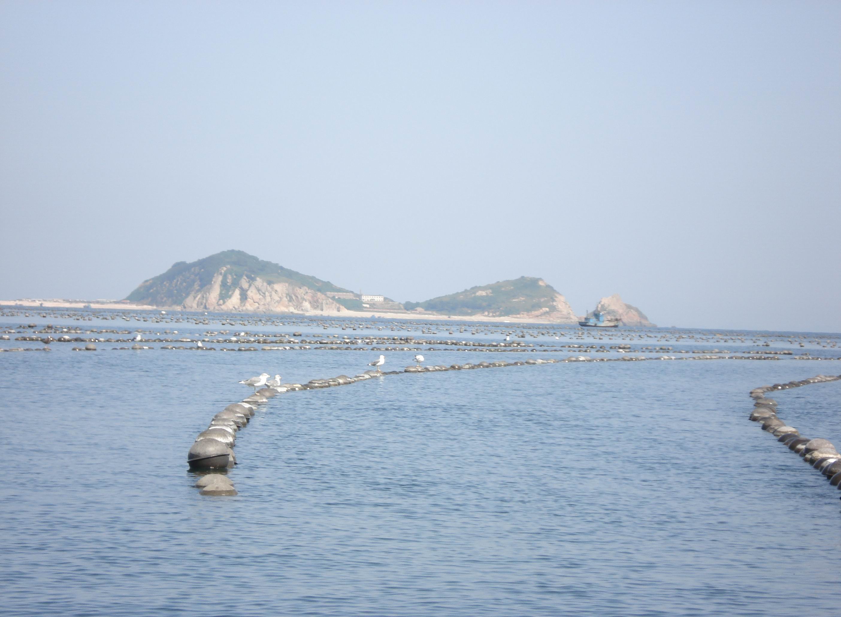 小岛探奇-小海王岛