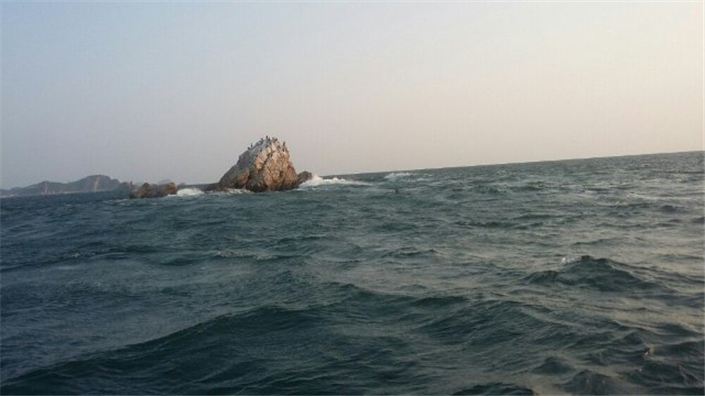 海王九岛渔家钓鱼记