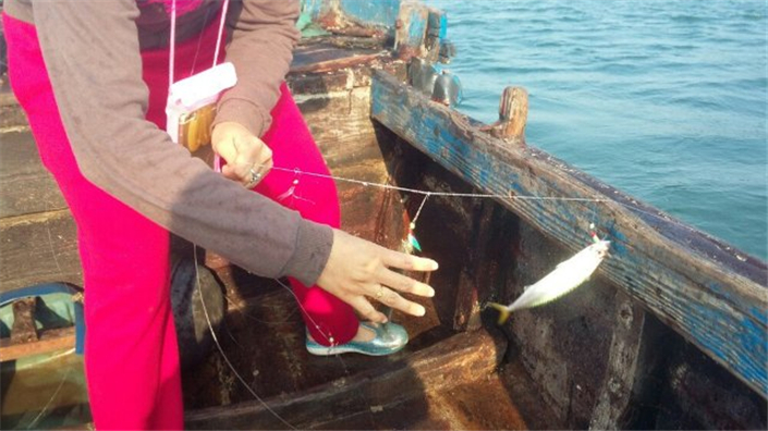 海王九岛渔家钓鱼记