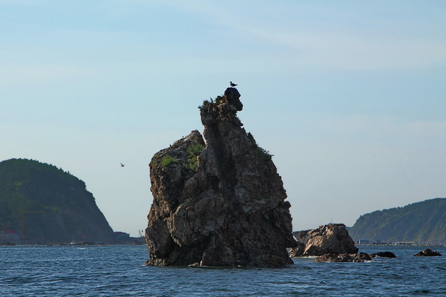 海王九岛