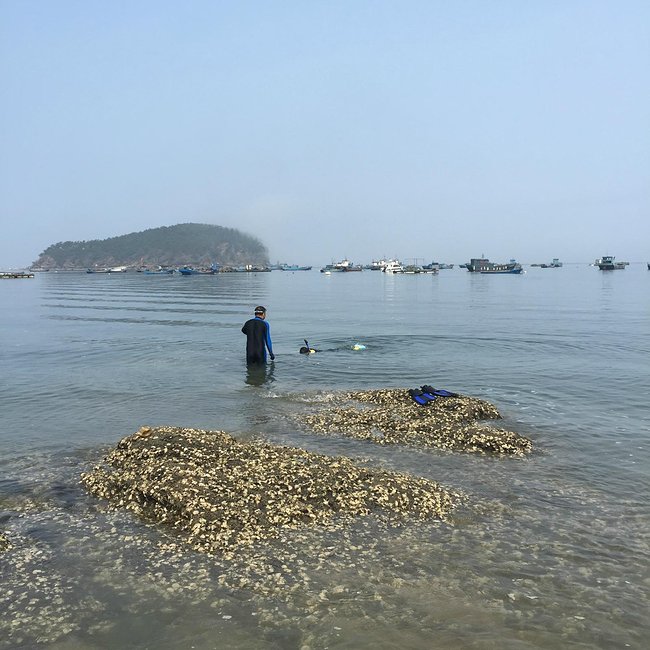 大连塞里岛二日游玩