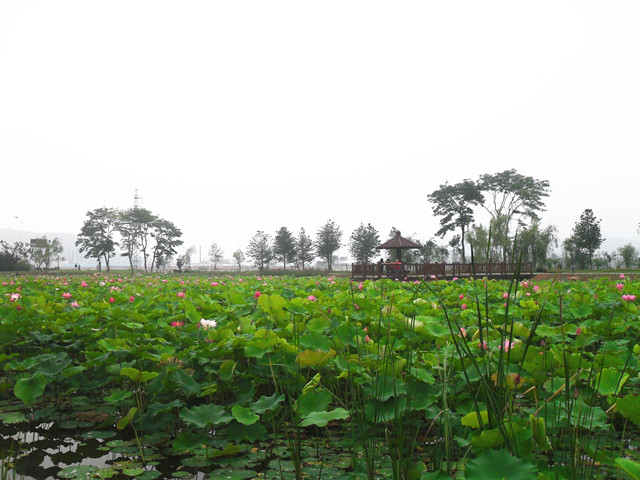 边走边拍大连庄河石城岛