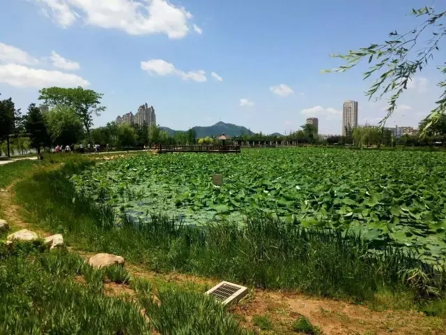 我爱石城岛这片海