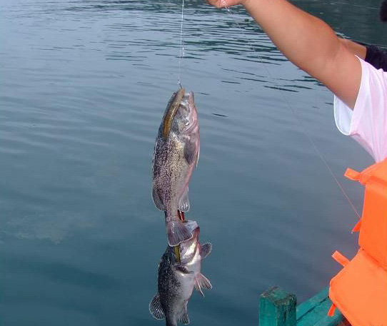 小长山岛首秀钓鱼节赛前探水体验